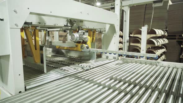 A Working Conveyor in a Paper Mill. Technology, Factory, Kyiv, Ukraine