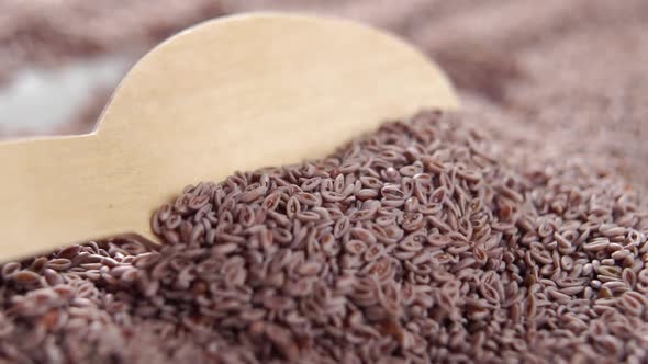 Dry psyllium seeds. Spooning organic whole grains into a wooden spoon in slow motion. Macro