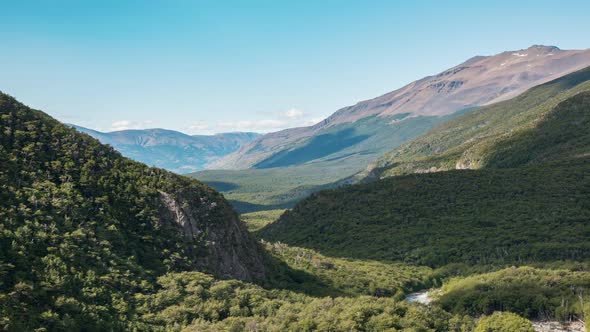 Daytime in the forest of the park Torres del Paine