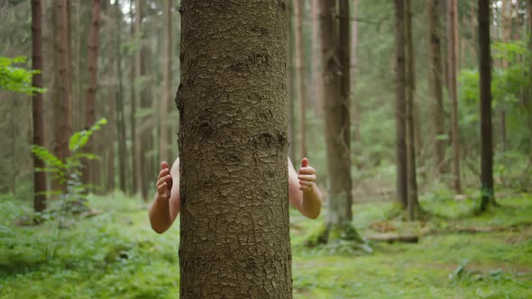 Man with His Hands Hugs a Tree Trunk, Unity with Nature, Environmental Protection