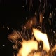 Fire - VideoHive Item for Sale
