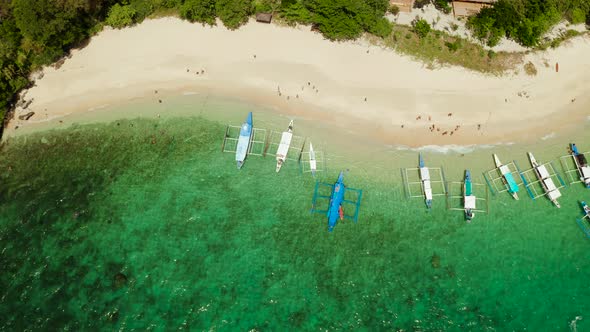 Tropical Island with Sandy Beach