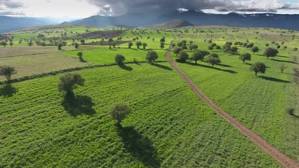 Green Fields With Sparse Trees and Cloudy Mountains in Moorland