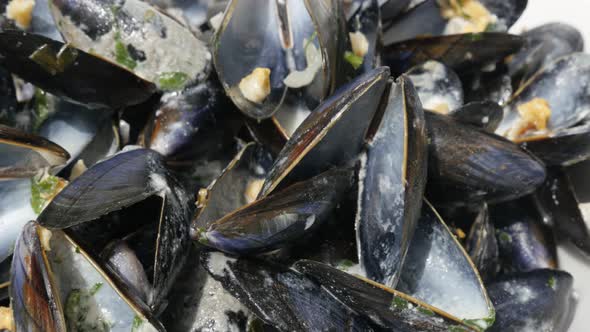 Common mussel empty shells  after meal close-up 4K 2160p 30fps UltraHD footage - Pile of Mytilus edu