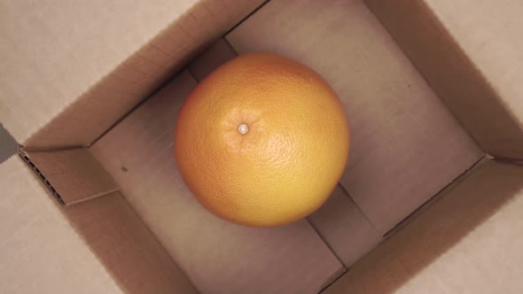 Fresh citrus tropical pomelo fruit falls in slow motion into a cardboard shipping delivery box