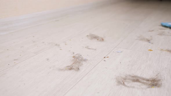 Cleaning Wooden Floor From Hair with Soft Mop in Light Room