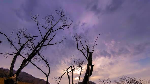 Time Lapse of Death Tree and Dry Yellow Grass at Mountian Landscape with Clouds and Sun Rays