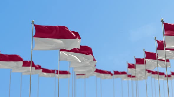 Indonesia Row Of Flags 3D Animation