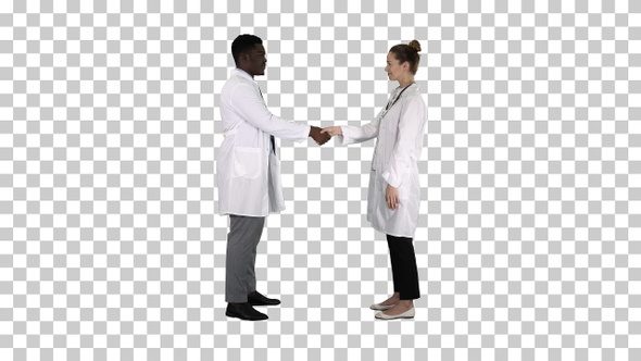 Two Young Doctor Shaking Hands, Alpha Channel