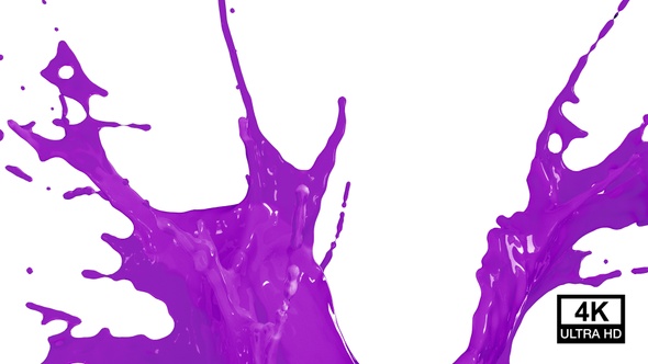 Purple Paint Drops Splash V4