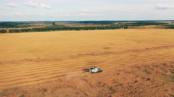 Massive Field with an Industrial Combine Reaping Wheat