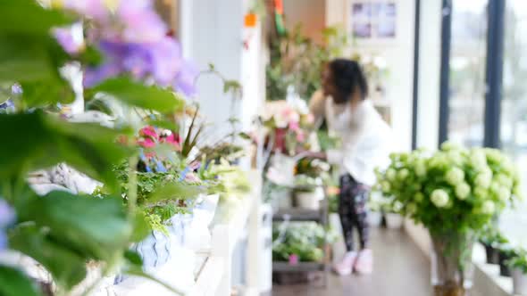 Florist with pot flower walking in flower shop 4k