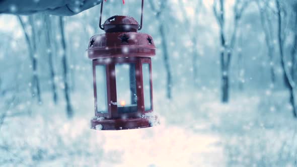 Holding in Red Glove Red Candle Lantern in the Winter Forest