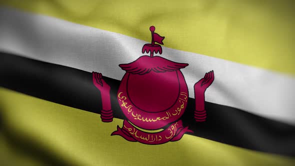 Brunei Flag Textured Waving Front Background HD