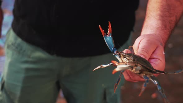 Close Up of a Man Holding an Alive Crab Kapani Market One of the Largest and Most Popular Covered