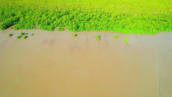 An aerial view from a drone flying over the coastal mangrove forests at low tide