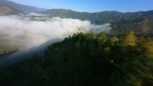 Aerial View High Mountain Covered By Dense Rainforest with Environment Valley Mist Landscape