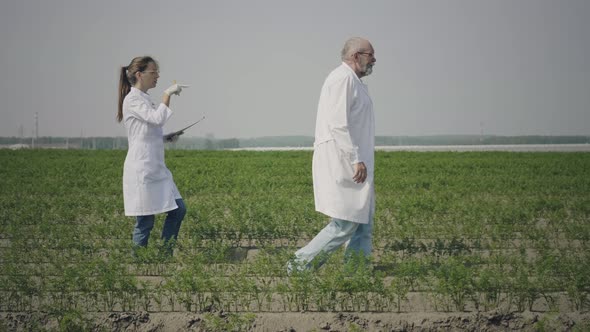 Agronomy scientists work in field alt