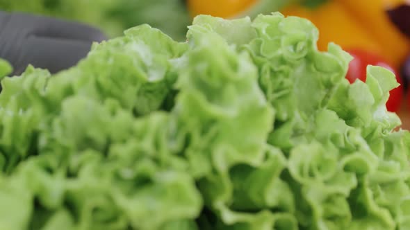 Chef Cuts the Salad Leaves with a Knife in Slow Motion Making a Salad Fresh Vegetables on a Cutting