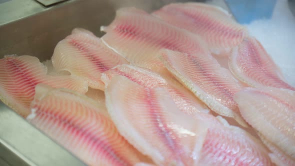 Fresh Tilapia Fish on the Shelves of the Hypermarket Cooled By Cold Steam