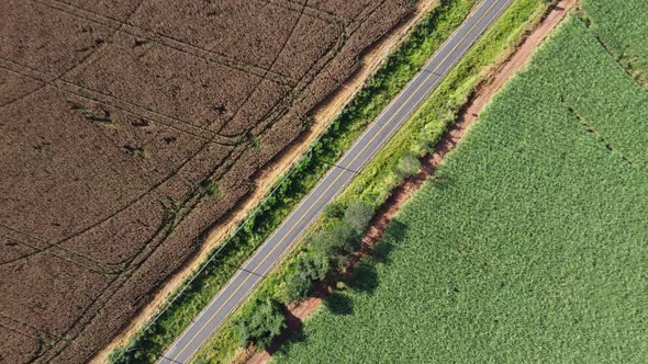 Rural road near farming landscape. Countryside rural scenery.