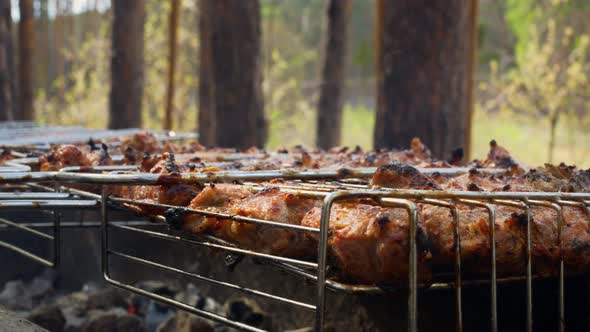 Closeup of Meat on a Grill Grilling in the Fresh Air