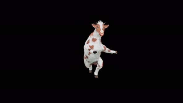Cow Dance 4K