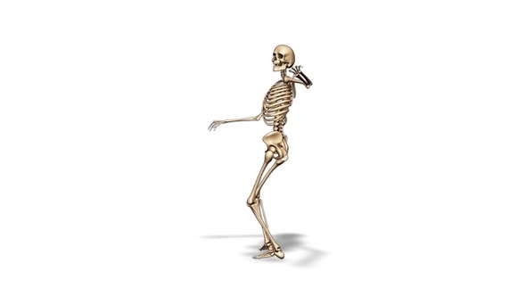 3D Skeleton Fun Dance  Looped on White