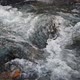 Wild clear mountain river , stream flowing through rocks - VideoHive Item for Sale