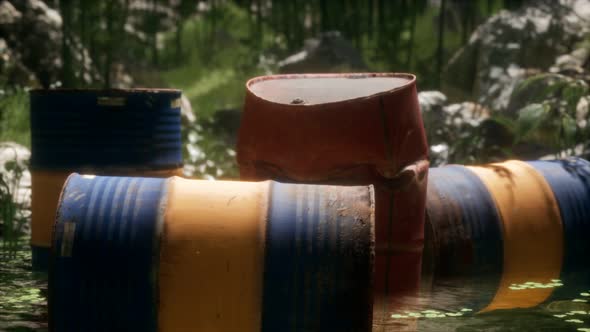 Rusty Barrels in Green Forest