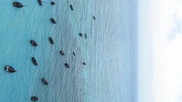 Zanzibar Tanzania  Vertical Video of the Ocean Near the Coast Slow Motion