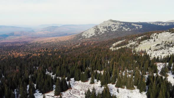 Aerial View of the Slopes of the Mountains Covered with Spruce Forest and the First Snow the South