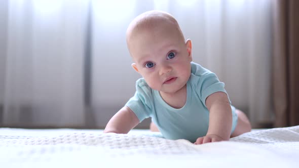 Infant Baby Lying on the Stomach Playing Looking to the Camera