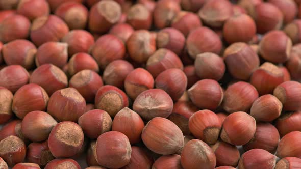 Looped Spinning Hazelnuts with the Shell Closeup Full Frame Background