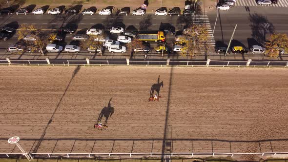 Jockeys on horses with long shadows on track, aerial view