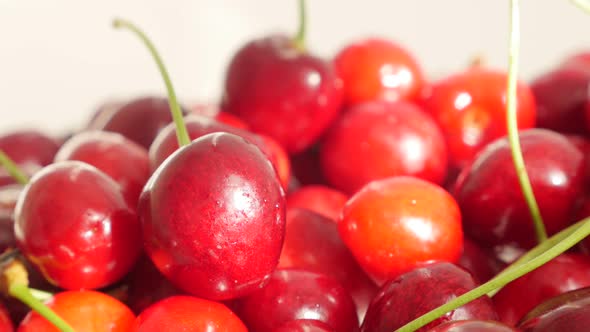 Lot of sour cherries on white background slow tilting food natural  4K 2160p UltraHD footage - Wet P