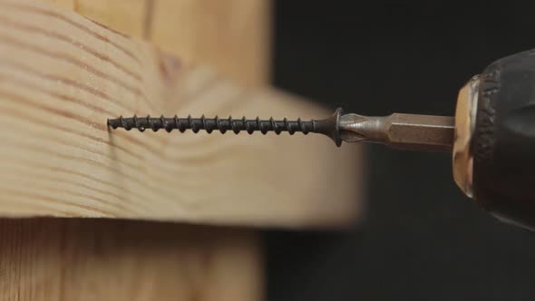 Tightening The Screws in Wood