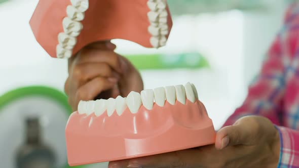 Teacher Showing to Children Structure of Jaw, Dental Hygiene Lesson at School