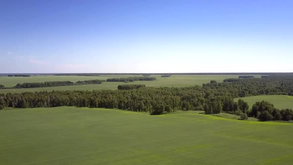 Wonderful Rural Nature with Dark Forest and Wide Green Field