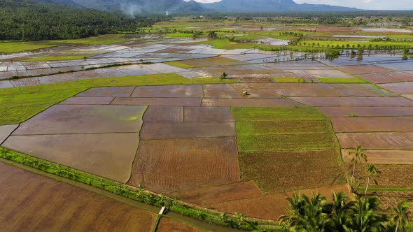 Agriculture in a Tropical Climate