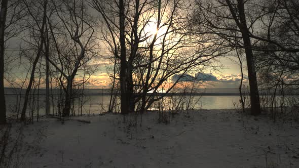 Sunset between winter snow and trees nature footage