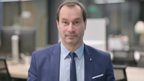 Portrait of Businessman Shaking Head As Yes Sign Approval