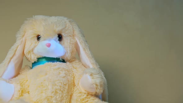 Plush easter bunny