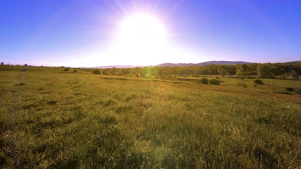  UHD Mountain Meadow Timelapse at the Summer. Clouds, Trees, Green Grass and Sun Rays Movement.