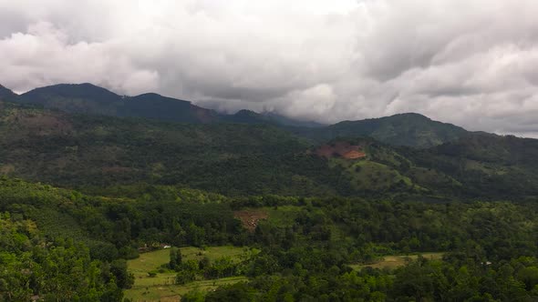 Mountain Slopes Covered with Rainforest and Jungle