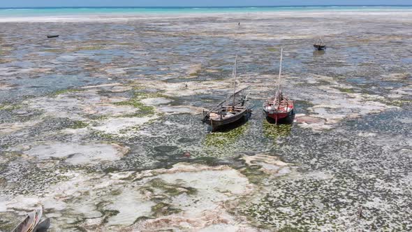 Lot of Fishing Boats Stuck in Sand Off Coast at Low Tide Zanzibar Aerial View