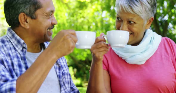 Senior couple drinking tea