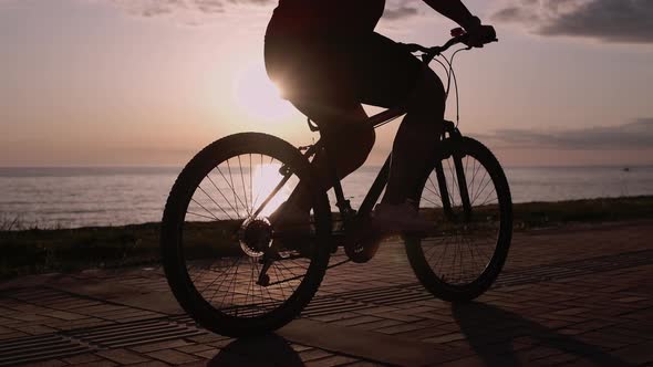 Person Riding By Bicycle Cycling and Pedaling at Evening Sunset