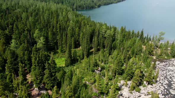 forest by the lake in the mountains