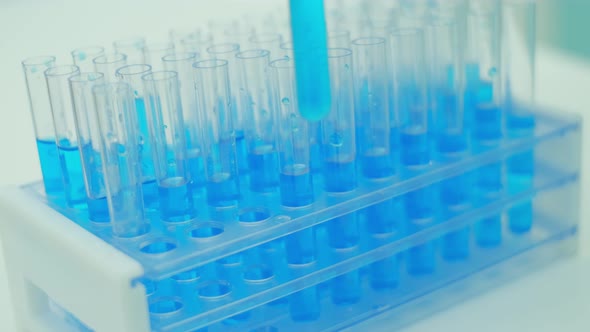 A Doctor or Scientist in the Laboratory Is Putting a Test Tubes with a Blue Liquid. The Concept of alt